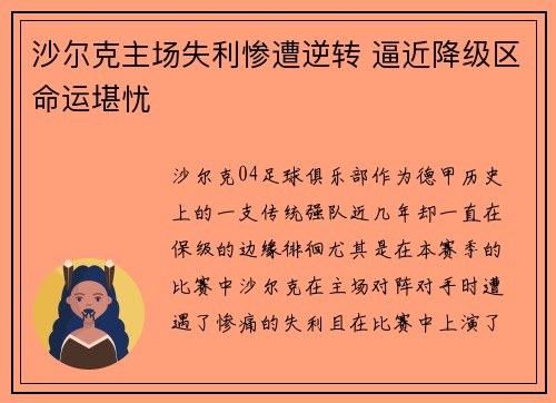 沙尔克主场失利惨遭逆转 逼近降级区命运堪忧