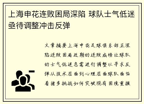 上海申花连败困局深陷 球队士气低迷亟待调整冲击反弹