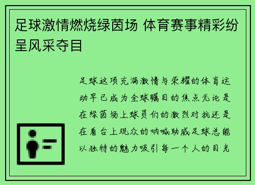 足球激情燃烧绿茵场 体育赛事精彩纷呈风采夺目